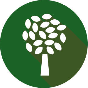 Dreviny icon